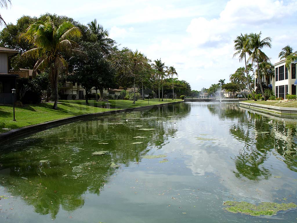 View Down the Canal From Caloosa Isles